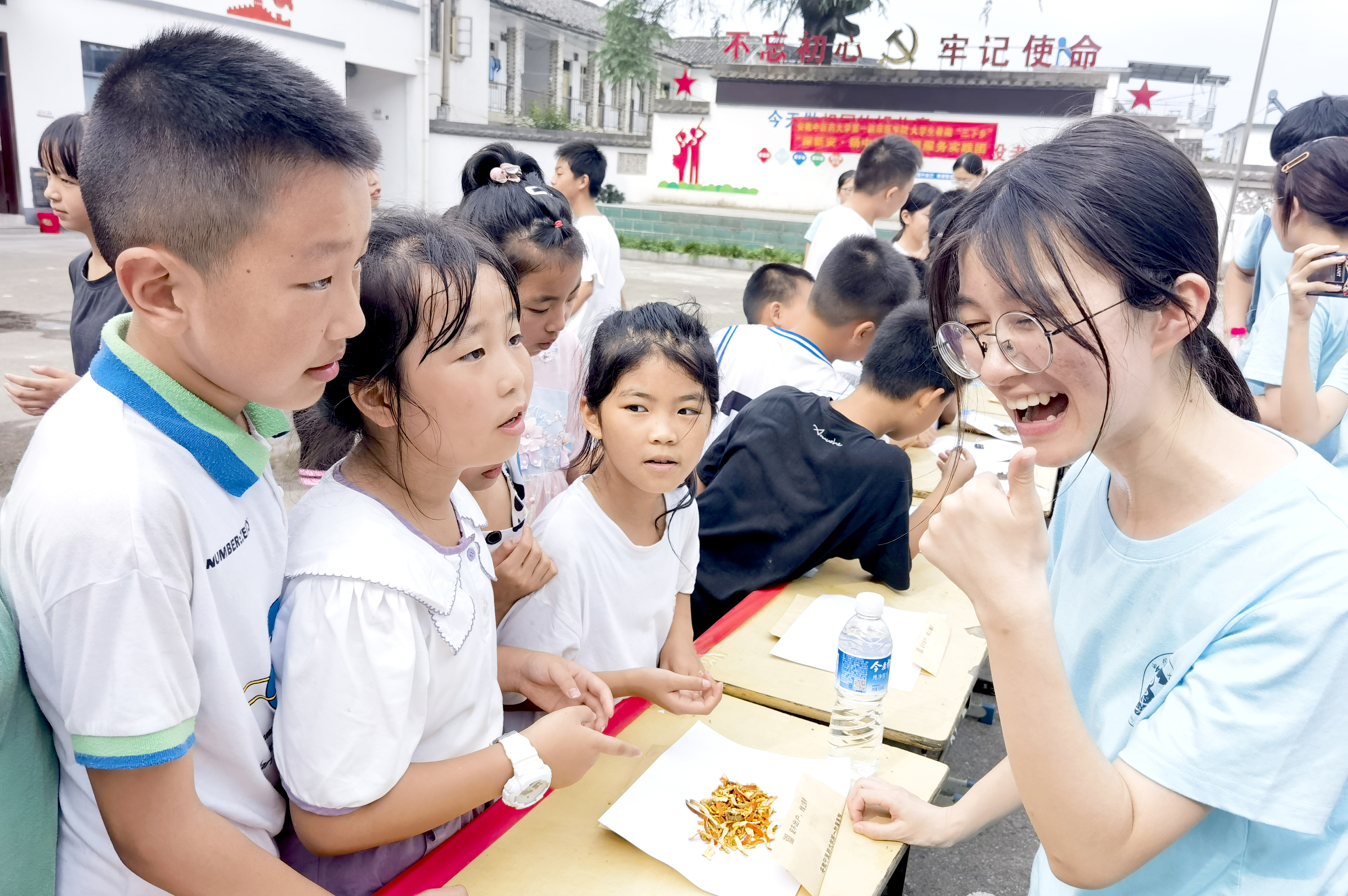 小学生们辨识中草药