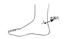 十二原穴的妙用及养生法